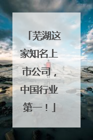 芜湖这家知名上市公司，中国行业第一！