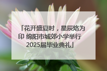 花开盛夏时，星辰烙为印 绵阳市城郊小学举行2025届毕业典礼
