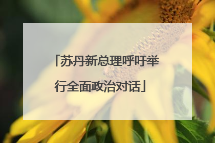 苏丹新总理呼吁举行全面政治对话