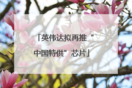 英伟达拟再推“中国特供”芯片
