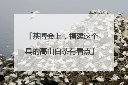 茶博会上，福建这个县的高山白茶有看点