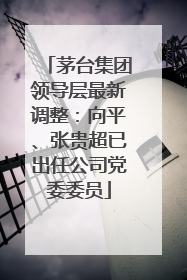 茅台集团领导层最新调整：向平、张贵超已出任公司党委委员