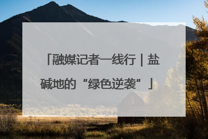 融媒记者一线行｜盐碱地的“绿色逆袭”