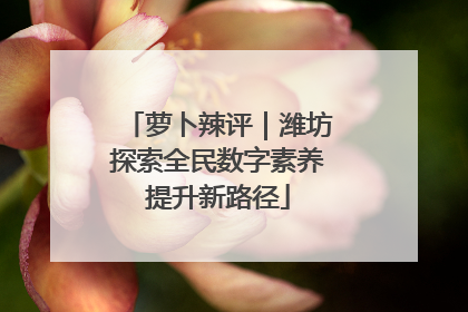萝卜辣评｜潍坊探索全民数字素养提升新路径