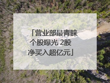 营业部最青睐个股曝光 2股净买入超亿元