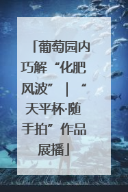 葡萄园内巧解“化肥风波”｜“天平杯·随手拍”作品展播