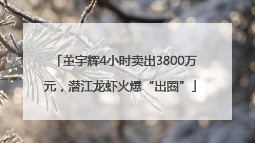 董宇辉4小时卖出3800万元，潜江龙虾火爆“出圈”
