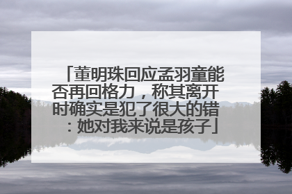 董明珠回应孟羽童能否再回格力，称其离开时确实是犯了很大的错：她对我来说是孩子