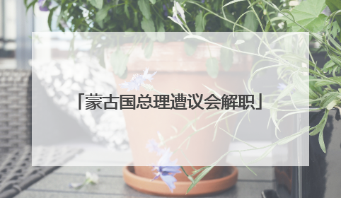蒙古国总理遭议会解职