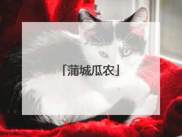蒲城瓜农