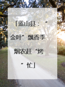 蓝山县：“金叶”飘香季 烟农赶“烤”忙