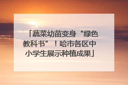 蔬菜幼苗变身“绿色教科书”！哈市各区中小学生展示种植成果