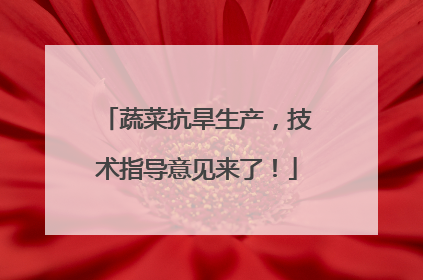 蔬菜抗旱生产，技术指导意见来了！