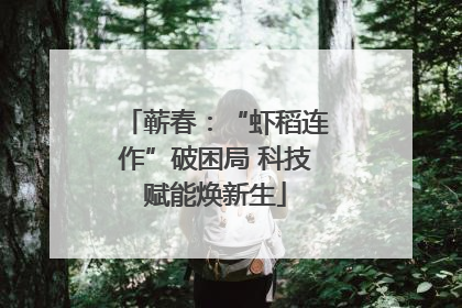 蕲春：“虾稻连作”破困局 科技赋能焕新生
