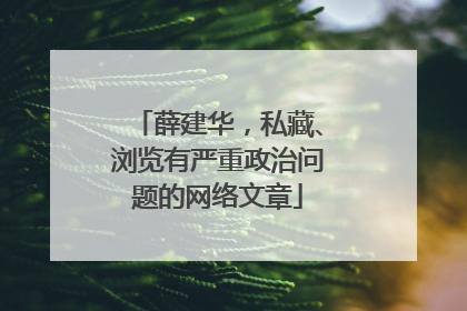 薛建华，私藏、浏览有严重政治问题的网络文章