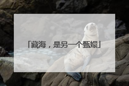 藏海，是另一个甄嬛