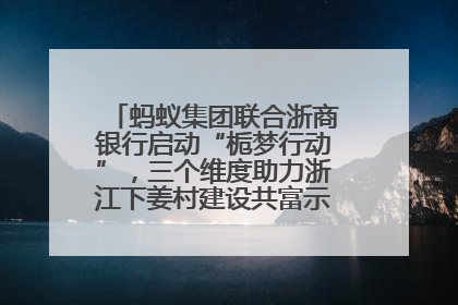蚂蚁集团联合浙商银行启动“栀梦行动”，三个维度助力浙江下姜村建设共富示范区示范点