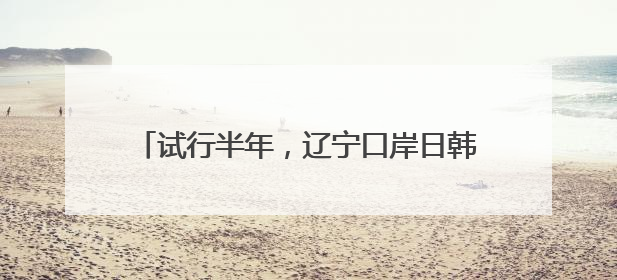 试行半年，辽宁口岸日韩籍入境旅客增长超4成！