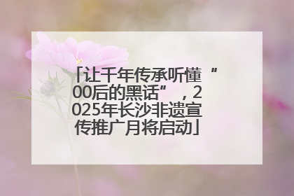 让千年传承听懂“00后的黑话”，2025年长沙非遗宣传推广月将启动