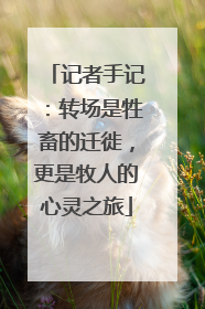 记者手记：转场是牲畜的迁徙，更是牧人的心灵之旅