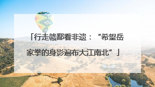 行走赣鄱看非遗：“希望岳家拳的身影遍布大江南北”