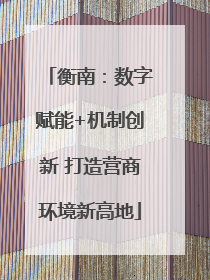 衡南：数字赋能+机制创新 打造营商环境新高地