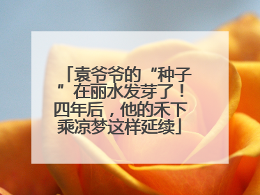 袁爷爷的“种子”在丽水发芽了！四年后，他的禾下乘凉梦这样延续
