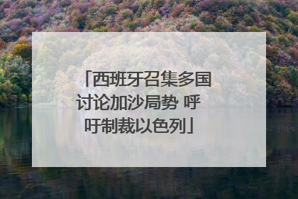 西班牙召集多国讨论加沙局势 呼吁制裁以色列