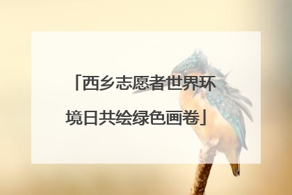 西乡志愿者世界环境日共绘绿色画卷