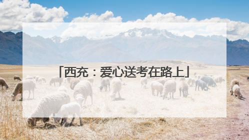 西充：爱心送考在路上