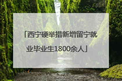 西宁硬举措新增留宁就业毕业生1800余人