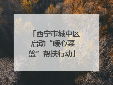 西宁市城中区 启动“暖心菜篮”帮扶行动