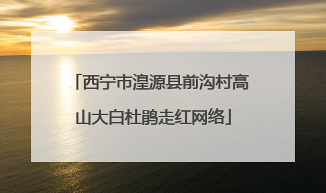 西宁市湟源县前沟村高山大白杜鹃走红网络