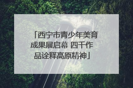 西宁市青少年美育成果展启幕 四千作品诠释高原精神