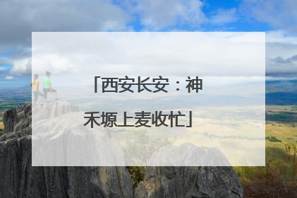 西安长安：神禾塬上麦收忙