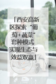 西安高新区探索“葡萄+蔬菜”套种模式 实现生态与效益双赢