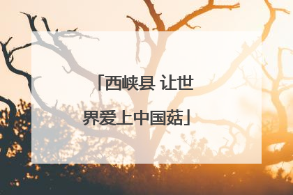 西峡县 让世界爱上中国菇
