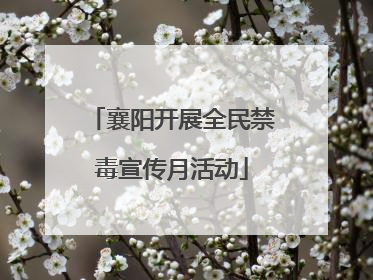 襄阳开展全民禁毒宣传月活动