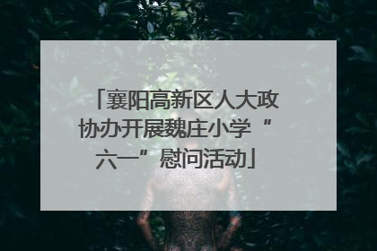 襄阳高新区人大政协办开展魏庄小学“六一”慰问活动