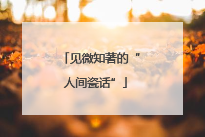 见微知著的“人间瓷话”