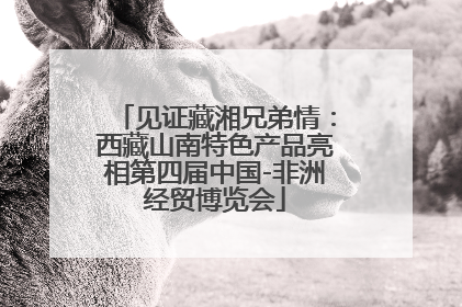 见证藏湘兄弟情：西藏山南特色产品亮相第四届中国-非洲经贸博览会