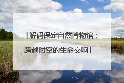解码保定自然博物馆：跨越时空的生命交响