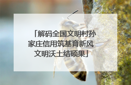 解码全国文明村孙家庄信用筑基育新风文明沃土结硕果