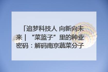 追梦科技人 向新向未来｜“菜篮子”里的种业密码：解码南京蔬菜分子育种的创新之路