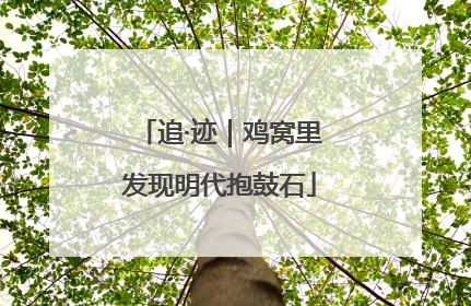 追·迹｜鸡窝里发现明代抱鼓石