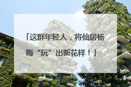 这群年轻人，将仙居杨梅“玩”出新花样！