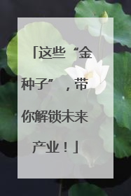 这些“金种子”，带你解锁未来产业！