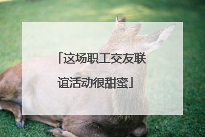 这场职工交友联谊活动很甜蜜