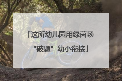 这所幼儿园用绿茵场“破题”幼小衔接