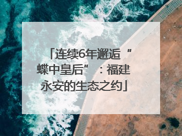 连续6年邂逅“蝶中皇后”：福建永安的生态之约